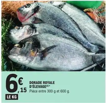 E.Leclerc Dorade royale d'élevage offre