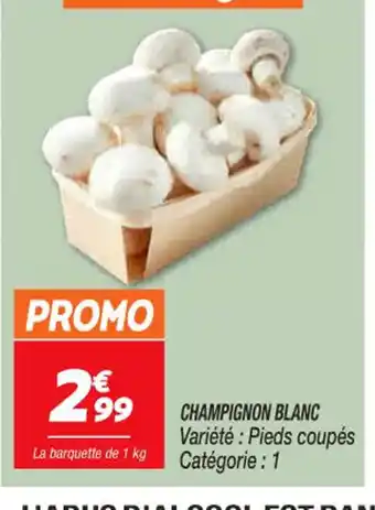 Netto Champignon Blanc offre