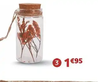 Jardiland Suspension bouteille fleurs séchées offre
