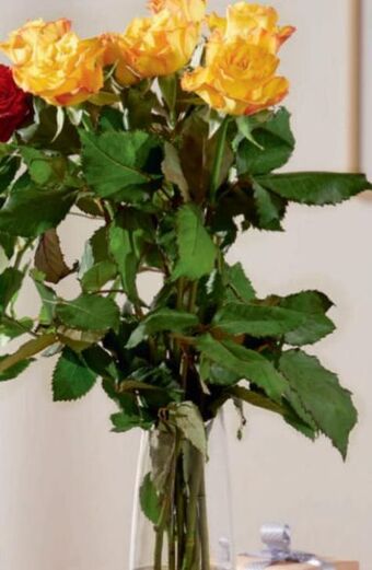 Intermarché Hyper Bouquet 7 roses 50 cm offre
