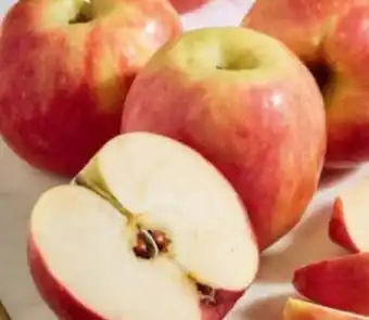 Pomme pink lady