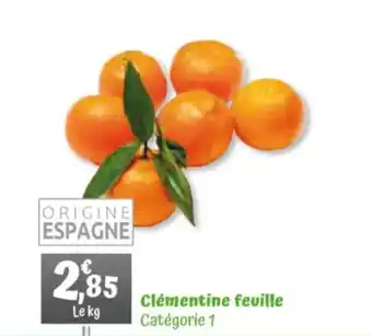 Clémentine feuille