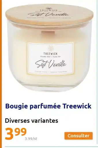 Bougie Parfumee treewick