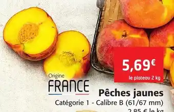 Pêches Jaunes