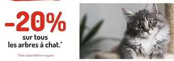Médor et Compagnie -20% sur tous les arbres à chat.* offre