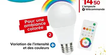 Castorama Diall ampoule led e27 rvb + télécommande offre