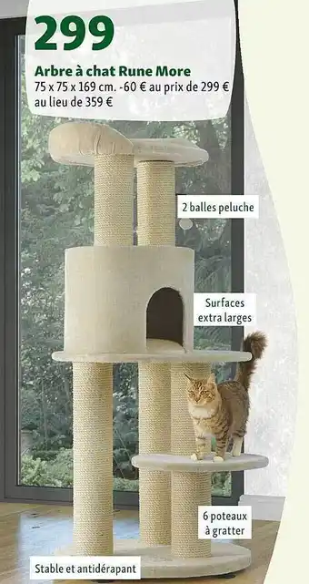 Maxi Zoo Arbre à chat rune more offre