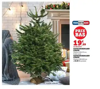 Super U Sapin nordmann coupé offre