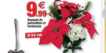 Bazarland Bouquet de poisettias et hortensias offre