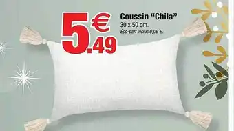 Bazarland Coussin offre
