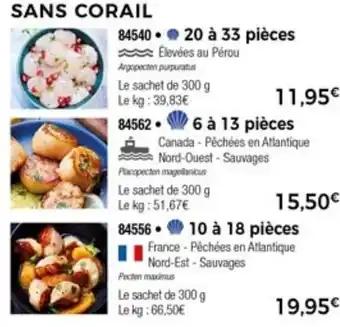 Thiriet Sans Corail offre