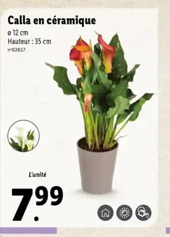 Lidl Calla en Céramique offre