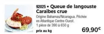 Thiriet Queue De Langouste Caraïbes Crue offre