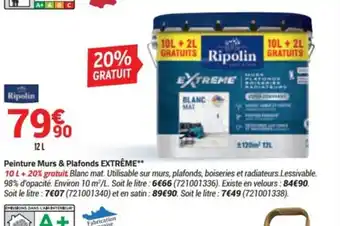 Bricorama Peinture Murs & Plafonds Extreme offre