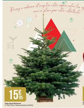 Bricorama Sapin Naturel Nordmann offre