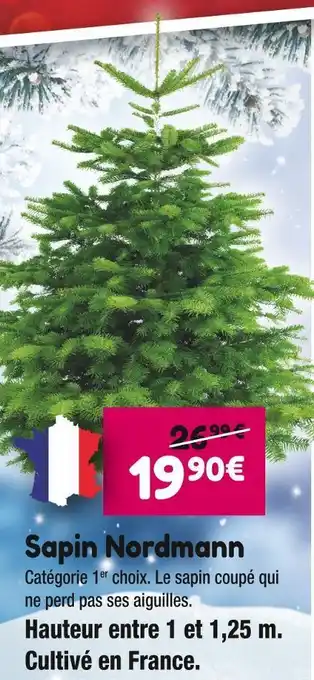 Point Vert Sapin nordmann offre