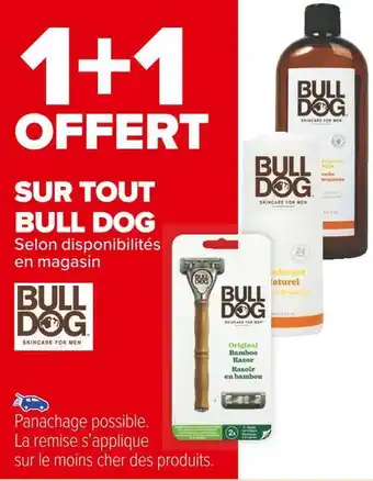 Carrefour Market Bull dog 1+1 offert sur tout bull dog offre