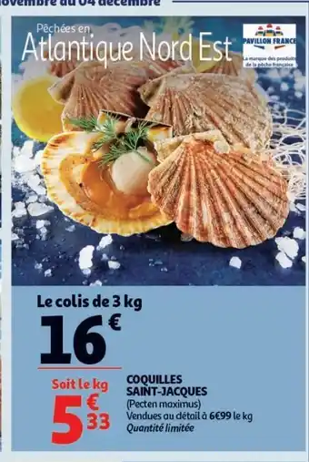 Coquilles saint-jacques