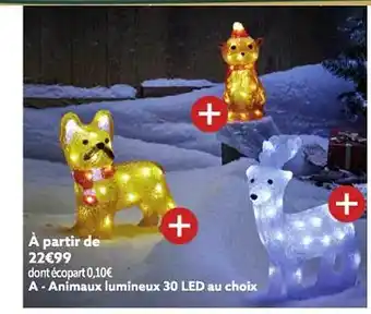 Gifi Animaux lumineux 30 led au choix offre