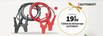 Câbles de démarrage autobest