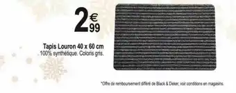 Tridôme Tapis louron 40 x 60 cm offre