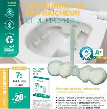 Stanhome Wc fresh blocs wc offre