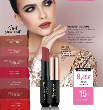 Stanhome Color master lipstick rouge à lèvres semi mat offre