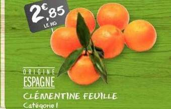 G20 Clémentine feuille offre