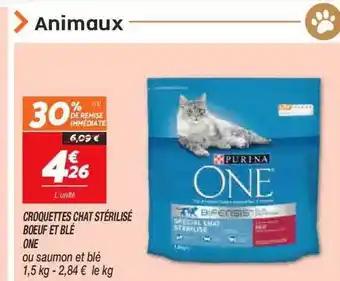 Netto Croquettes chat stérilisé bœuf et blé one offre