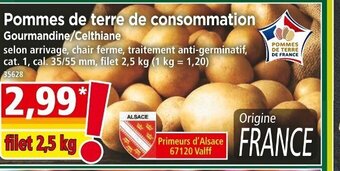 Norma Pommes de terre de Consommation offre