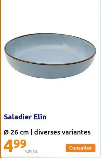 Action Saladier elin offre