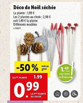 Lidl Déco de noël séchée offre