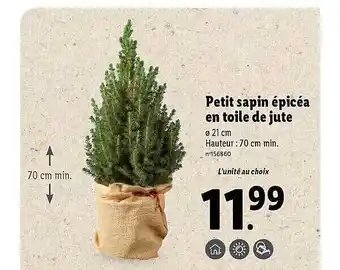 Lidl Petit sapin épicéa en toile de jute offre
