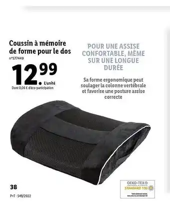 Coussin à mémoire de forme pour le dos