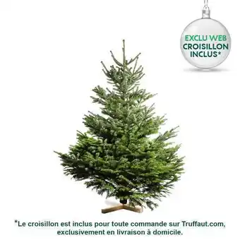 Truffaut Truffaut sapin de noël naturel abies nordmann : 150/175 cm coupé offre