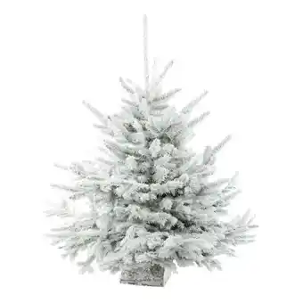 Truffaut Sapin de noël diamant robin® : 70/80 cm buché offre