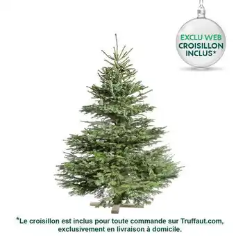 Truffaut Truffaut sapin de noël naturel abies nordmann : 200/250 cm coupé offre