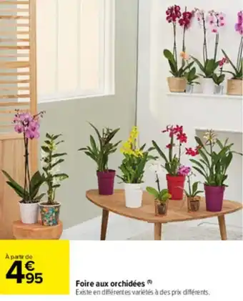 Carrefour Market Foire aux orchidées offre