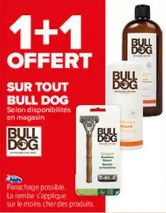 Carrefour Market Bull dog offre