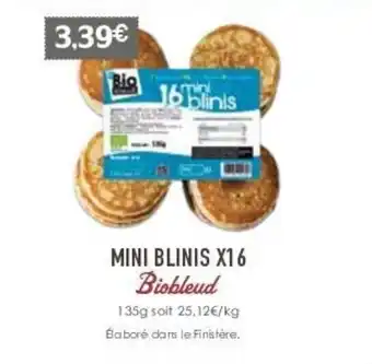Mini blinis X16