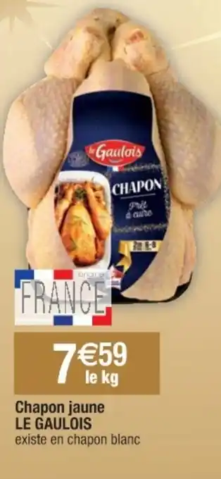 Chapon jaune LE GAULOIS