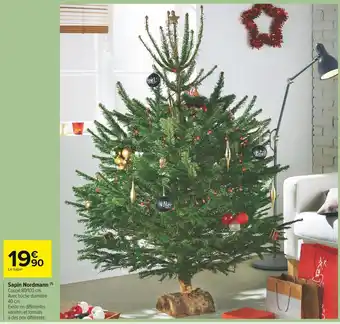 Carrefour Market Sapin nordmann offre