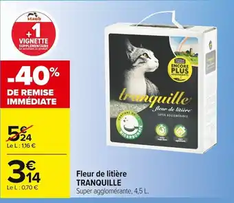 Carrefour Market Fleur De Litière Tranquille offre