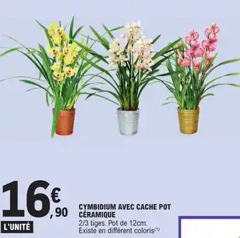 E.Leclerc Cymbidium Avec Cache Pot Ceramique offre