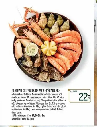 Match Plateau de fruits de mer «l'écailler» offre