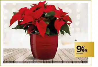 Carrefour Plante offre