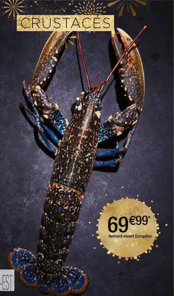 Homard vivant européen
