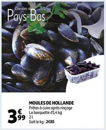 Auchan Moules de hollande offre