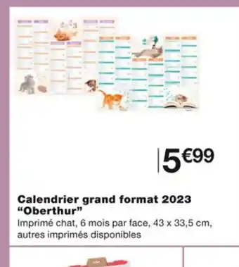 Monoprix Calendrier Grand Format 2023 Oberthur offre