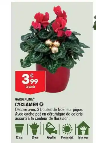 Cyclamen gardenline